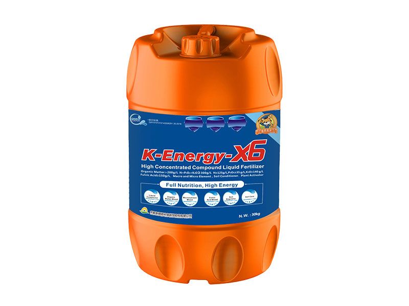 N-Energy-X6 