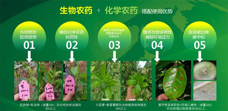 新朝陽(yáng)在第六屆中國(guó)農(nóng)藥行業(yè)市場(chǎng)和銷售高峰論壇做“生物農(nóng)藥+化學(xué)農(nóng)藥，引領(lǐng)植保市場(chǎng)未來(lái)”主題報(bào)告