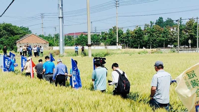 520健康植保日——擁抱綠色農(nóng)業(yè)，我們?cè)谛袆?dòng)