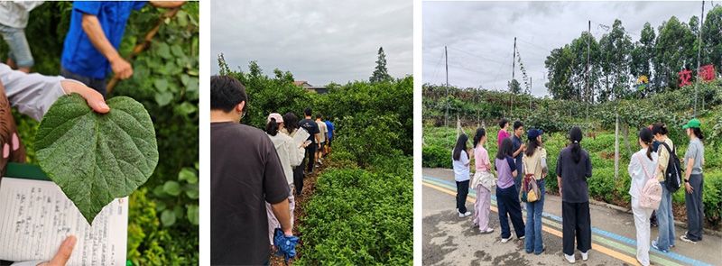 首個(gè)！中國農(nóng)業(yè)大學(xué)攜手新朝陽啟動(dòng)“朝陽稼穡計(jì)劃”